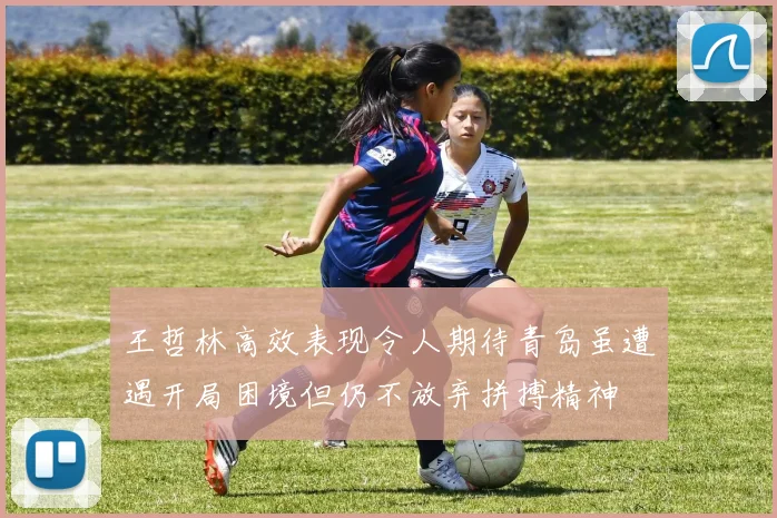 王哲林高效表现令人期待青岛虽遭遇开局困境但仍不放弃拼搏精神