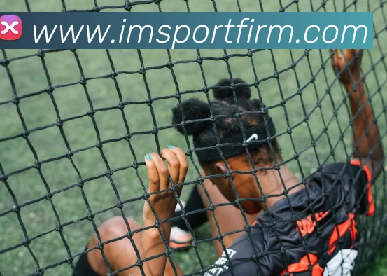 IM体育服务体系